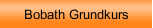 Bobath Grundkurs