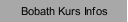 Bobath Kurs Infos