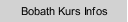 Bobath Kurs Infos